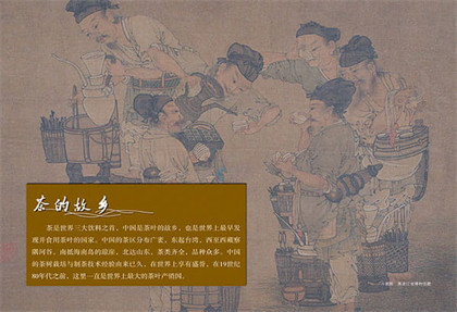 普洱茶和黑茶有什么不同？为什么说普洱茶也是黑茶的一种？